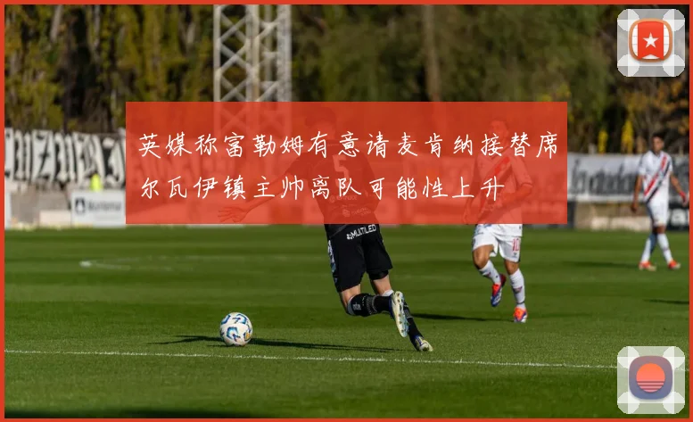 英媒称富勒姆有意请麦肯纳接替席尔瓦伊镇主帅离队可能性上升